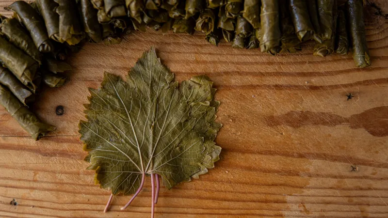 Better Together: The Real Reason Lebanese Food Tastes Amazing When You Make It With Someone